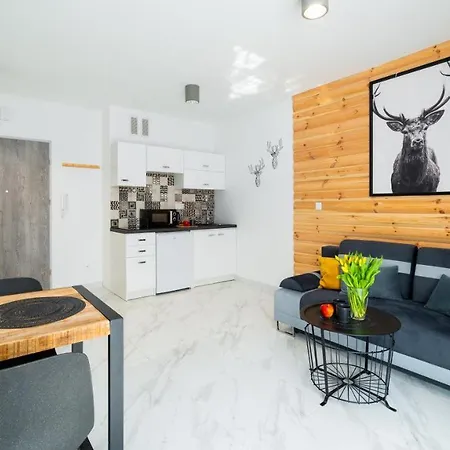 Apartment Fantazja